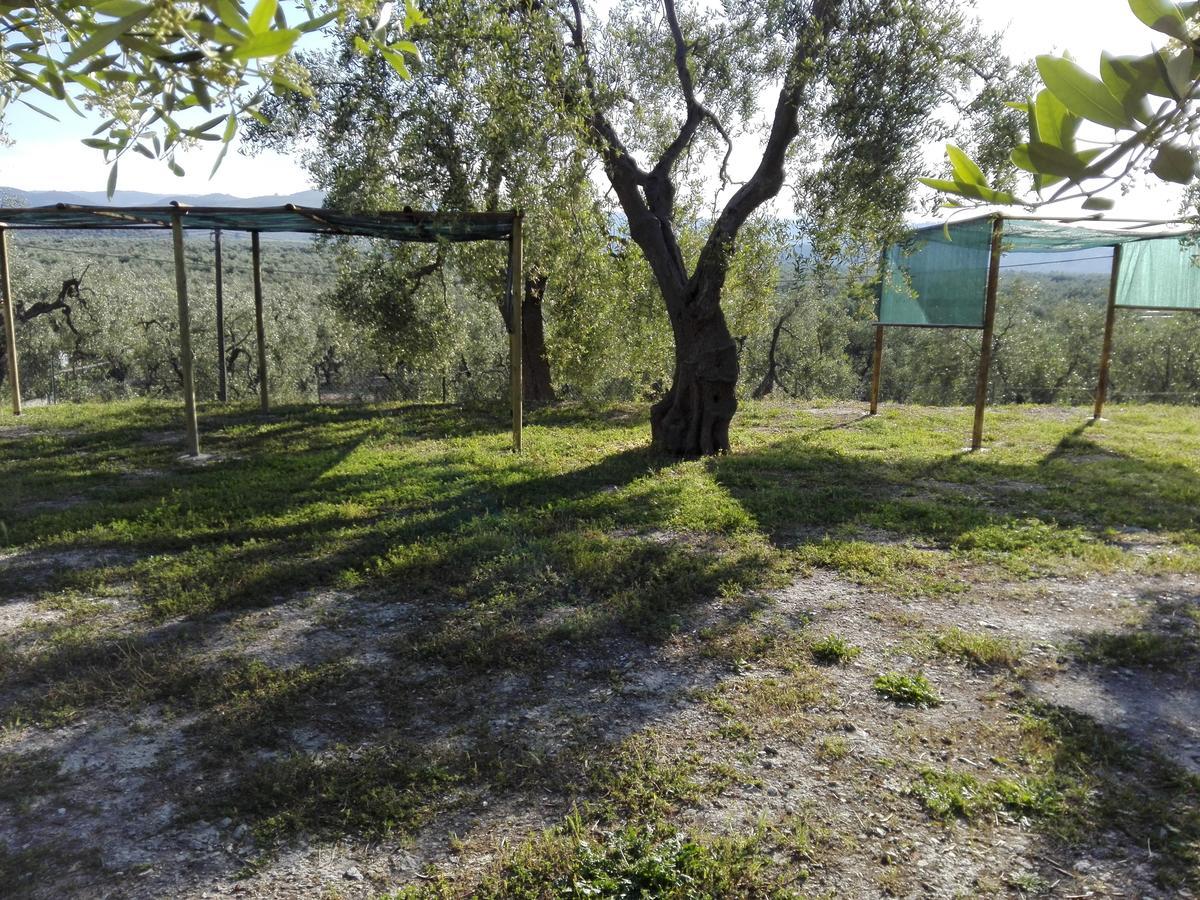 Valle Degli Ulivi Vieste Zewnętrze zdjęcie
