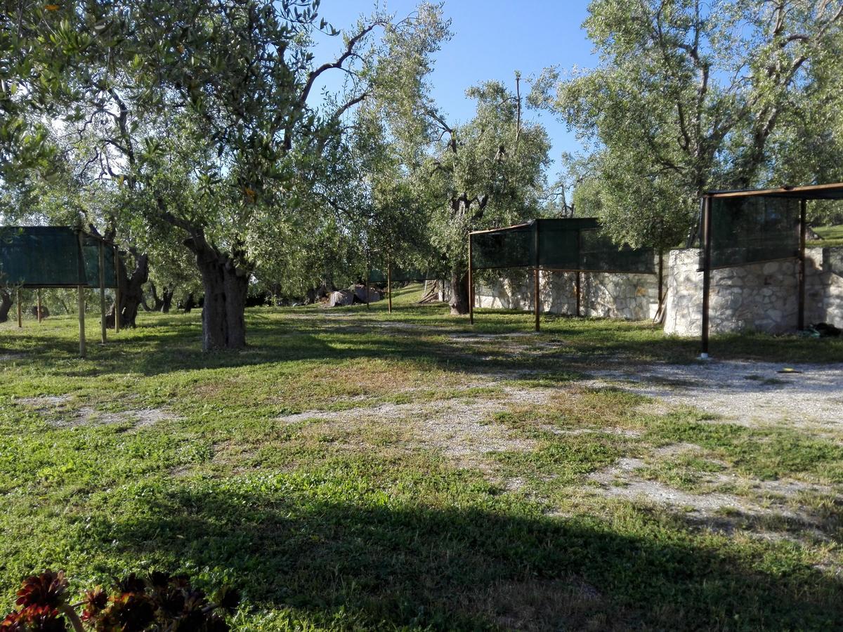 Valle Degli Ulivi Vieste Zewnętrze zdjęcie